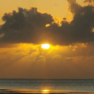 Meet your Posher, Divina